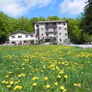 Albergo Le Macinaie - Monte Amiata